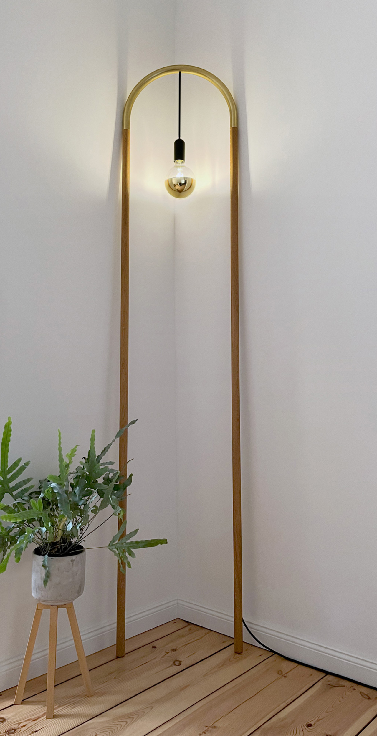 Photograph of the whole Frame light in the corner of a room next to a potted plant.